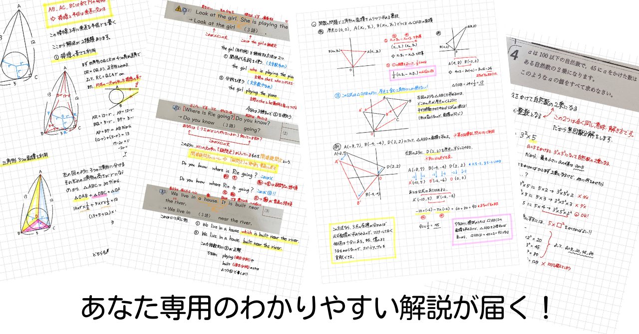 解説の例